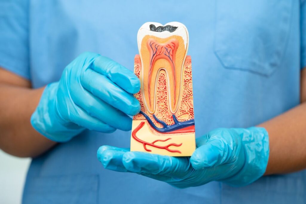 Root Canal Dentist in Rockville Centre