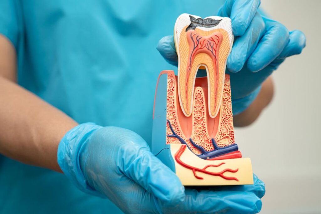 Root Canal Dentist in Rockville Centre